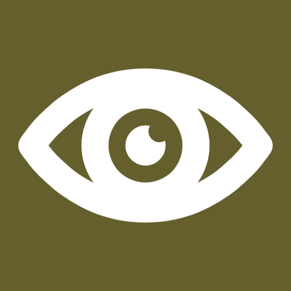 Vision